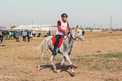 Shagya - Luxury-Photo-Video - 20210925-09-31-18-0377